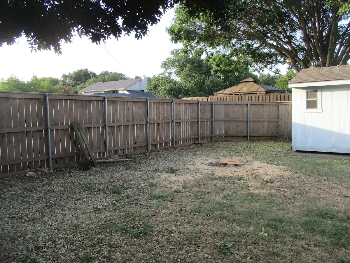 Cleared yard after professional tree removal in Crystal River